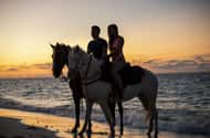 Turks and Caicos Islands: Horse riding