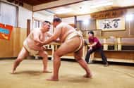 Tokyo: Sumo experiences