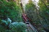 Góry Błękitne: Scenic World, prom, zoo i zdjęcia koali