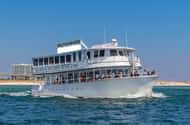 Orange Beach, Alabama: Dolphin & whale watching