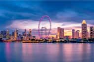 Singapore Flyer belépőjegy