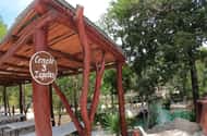 Rondleiding door Cenotes Casa Tortuga met basis toegangsbewijs