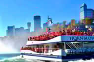 Fra Toronto: Niagara Falls-tur + båttur og/eller Journey