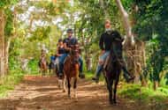 San Juan, Puerto Rico: Jungle tours