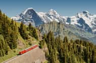 Schynige Platte - Top of Swiss Tradition ticket
