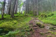 Lauterbrunnen: Private Walking Tour with an Irish Guide