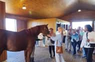 Kentucky: Day trips