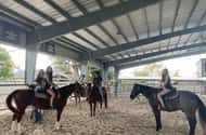 Miami: Horse riding