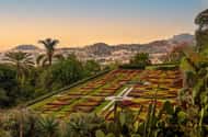 Funchal: Tuk Tuk rondleiding door de oude stad en botanische tuinen met gids