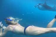 Bali: Swimming with turtles