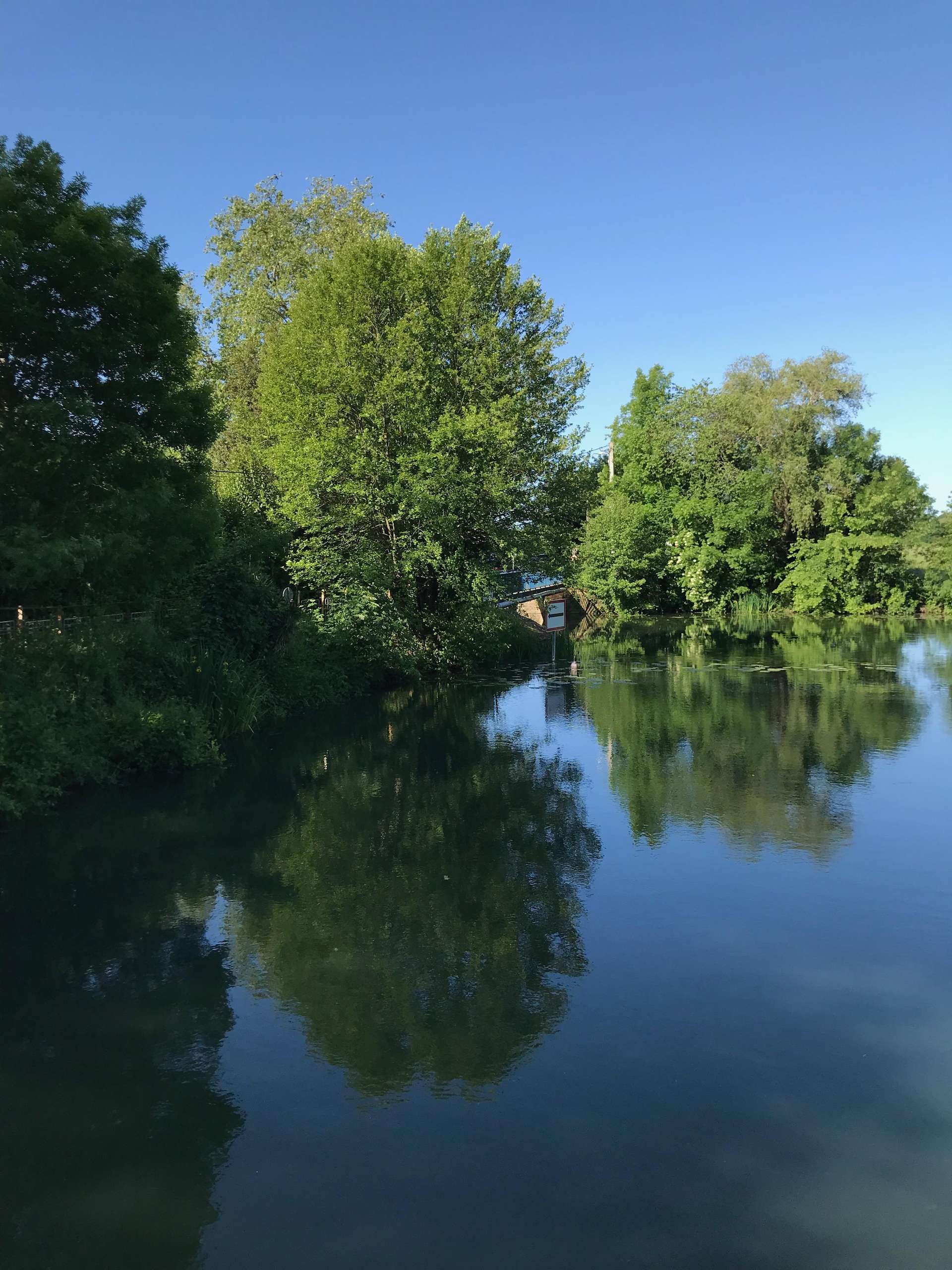 Guided bike visits in the Marais Poitevin, the first marsh on the west coast.