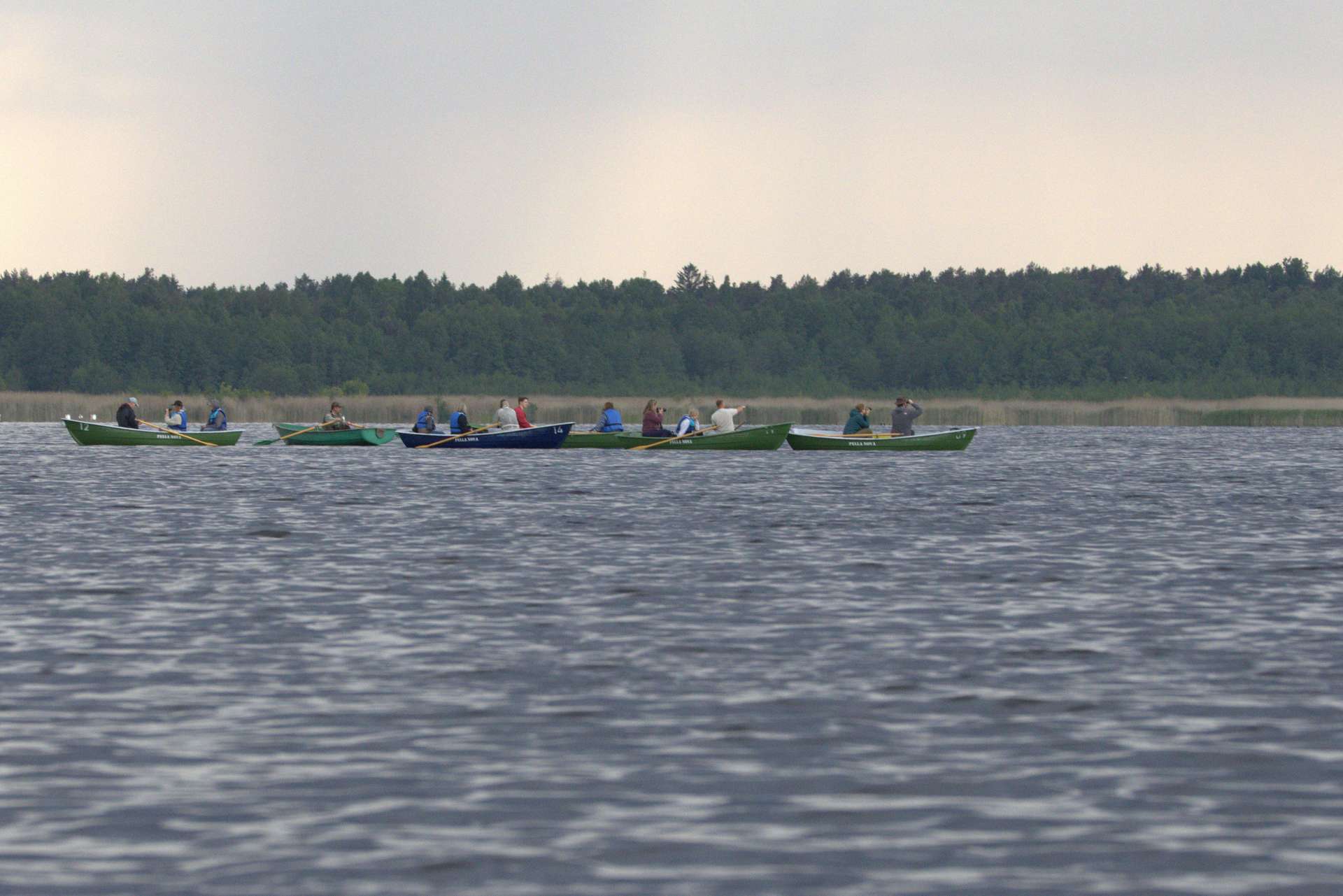 Observation des oiseaux au lac Kaņieris