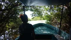 Baby turtle release, lagoon boat ride, and crocodile farm tour near Acapulco