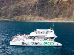 Ecological Catamaran Dolphin Whale Watching in this destination
