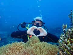 Introduction to Scuba Diving Experience in this destination