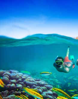Culebra: Cruises & boat tours
