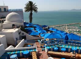 Hammamet: Carthage, Sidi Bou Said, and Medina with olive oil tasting