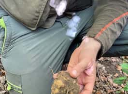 Florence: Truffle Hunting and Wine Tasting in Montepulciano