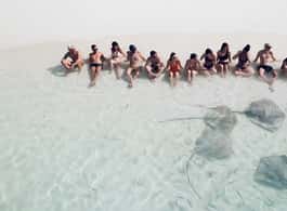 Maafushi: Nurse Sharks, Stingrays, Sand Bank and Dolphins
