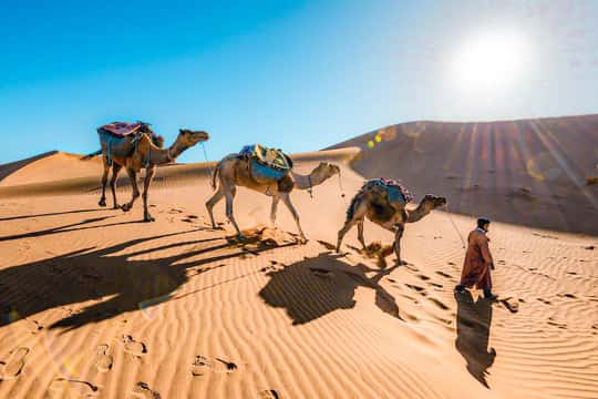 Fes to Marrakech 3-Day Desert Trip with Camel Ride & Camp