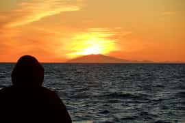 Midnight Sun Whale Watching Tour