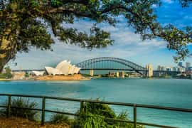 Sydney Harbour to Bondi: Small Group Half–Day Experience