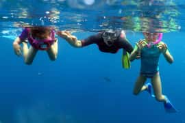 From Punta Cana: Small Group Catalina Island Snorkeling Tour