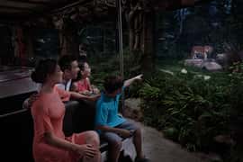 Singapore: Night Safari with Tram Ride