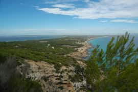 Au départ d'Ibiza : ferry et excursion guidée en bus à Formentera