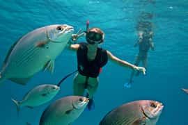 Cozumel: Chankanaab Park Admission+ Snorkel+ Welcome drink