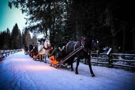 Białka Tatrzańska: Sleigh Ride, Feast, and Folk Music