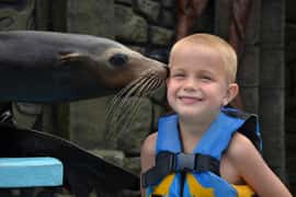 Cozumel: Sea Lion Program at Chankanaab Beach Adventure Park