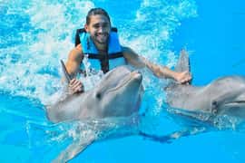 Puerto Aventuras: Dolphin Swim, Sea Lions, Manatees, & Lunch