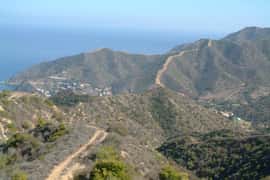 Catalina Island: Bluff View Horseback Ride