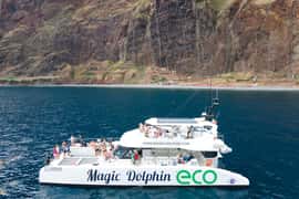 From Funchal: Ecological Catamaran Dolphin Whale Watching