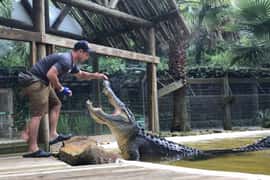 Orlando: Wild Florida Park Ticket and Gator Shows