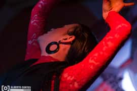 Valencia: Flamenco at Toro y La Luna with optional Dinner