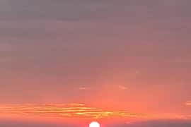 Istria County: Wine tasting & winery tours