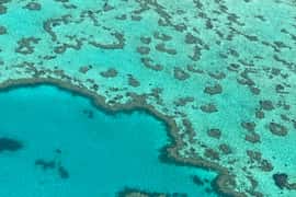 Airlie Beach: Whitsundays & Great Barrier Reef Scenic Flight