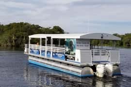 Orange City: Blue Spring State Park St. Johns River Cruise