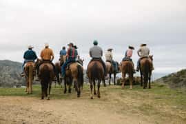 Catalina Island: Bluff View Horseback Ride