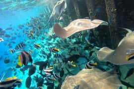 Maldives: Activities for couples