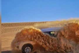Ras Al Khaimah: Half-Day Desert Safari with Dinner