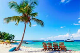Catamaran Boat to Saona Island with Buffet Lunch
