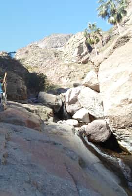 image n.2 of From Loreto: Canipole Cave Painting Guided Hike activity in Loreto, Mexico, uploaded by supplier