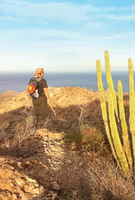 image n.3 of From Loreto: Canipole Cave Painting Guided Hike activity in Loreto, Mexico, uploaded by supplier