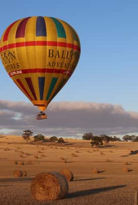 imagen n.º 3 de Valle de Barossa: Vuelo en globo aerostático actividad en Lobethal, subida por el proveedor