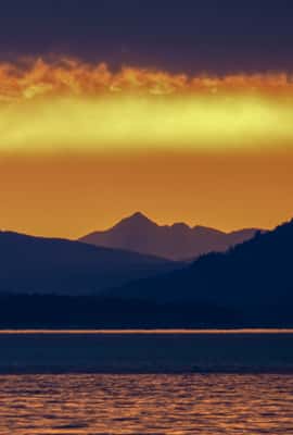 image n.3 of Victoria: Sunset Whale Watching Tour on an Open Scarab Boat activity in Victoria, British Columbia, uploaded by supplier