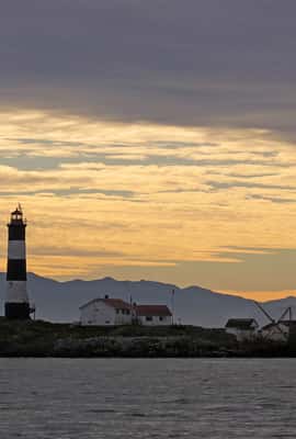 image n.2 of Victoria: Sunset Whale Watching Tour on an Open Scarab Boat activity in Victoria, British Columbia, uploaded by supplier