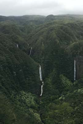 image n.3 of West Maui and Molokai Special 45-Minute Helicopter Tour activity in Kahului, uploaded by supplier